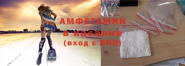 прущие грибы Вязьма