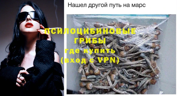 сатива Вяземский