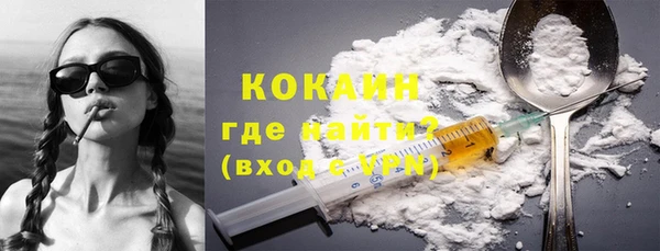 прущие грибы Вязьма